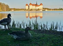Schloss Moritzburg